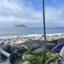 속골 | 8월 여름 제주 서귀포 가볼만한 곳,계곡과 바다가 만나는 이색 식당 ‘속골’ 백숙 후기