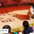 아이들세상유치원 이미지