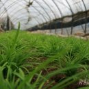 은미농장 이미지