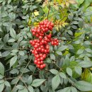 행운행정사사무소 이미지