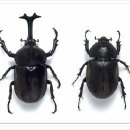 김영삼농장 이미지