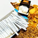 롤로(Rollo) 이미지