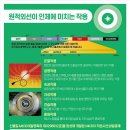 라파셀