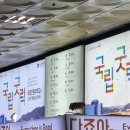 [단양여행 1104-1105] 🪂패러글라이딩을 위해 떠난 단양 1박 2일_1탄(김군 게스트하우스 패러패키지-단양...