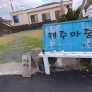 제주마중in판포 이미지