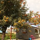 평매마을 이미지