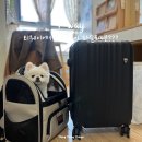 구리2아날도 | 티웨이 항공 수하물 파손 교체 후기