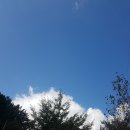 일성전자 이미지