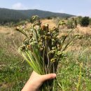 남원읍-29 이미지