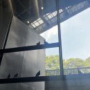 물음표광장 앞 이미지