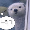 카페쵸이 - 남구 유엔평화로 45 | 카페쵸이