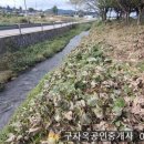 강화읍-15 이미지