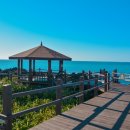 제주 월령리 선인장군락 이미지