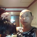 시스템엘르 이미지