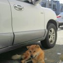 정심이 국밥집 이미지
