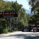 백담표고황태 이미지