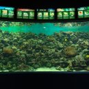 화진포해양박물관 이미지