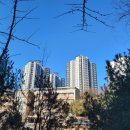 흥덕신동아박사공인중개사사무소 이미지