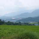 입실3리 이미지