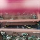 굴이랑전복이랑 이미지