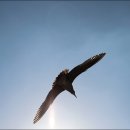 삼사 바다산책로 이미지