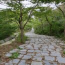 구불7길(신시도길) | 고군산군도의 절경 군산 구불7길 신시도길 월영봉 코스 트레킹