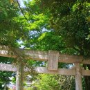 도쿄마츠리 이미지