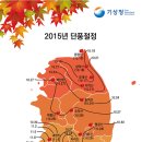 2015년 단풍절정시기(기상청) 이미지