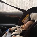 새봄안경 | [2월] 정지혜 일상이라 쓰고 이택온 일상이라 읽는 ...