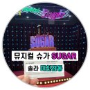 슈가네 | ✅뮤지컬 슈가 [SUGAR] 솔직 관람후기‼️