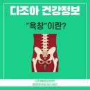 다조아건강쎈타 네이버블로그