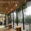 영프레쉬