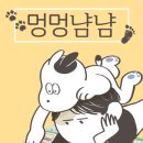 멍멍냠냠 이미지