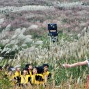 행복한소풍