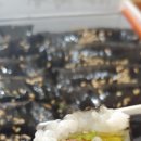 막뚱이꼬마김밥 네이버블로그
