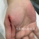 서초베스트외과의원 이미지