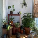 부동산토스공인중개사사무소 이미지