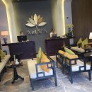 웰스 | 나트랑 시내 가성비 아로마 마사지 웰스파 후기 (가격, 팁, 예약방법, 할인팁)