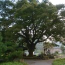 추동목장 이미지