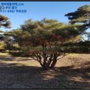 낭산면-1 이미지