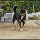 호동농장 이미지