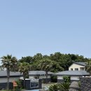 소랑 스테이 | [공지] [소랑풀빌라 후기] 제주도 감성 숙소를 찾는다면? 개그맨 남태령도 반한 소랑길 감성 힐링 스테이