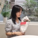 강추하는 부산 망미동 꽃집, 스프링프로그 솔직후기 💐