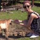 글라스마스터 이미지