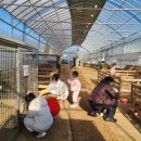 구성사슴농장 이미지