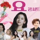 노벨문학도시 장흥 붐업페스타 2025 효 콘서트 | 장흥군, ‘붐업페스타 2025 효 콘서트’ 개최