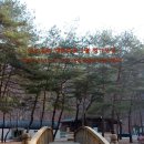 금물산하늘소캠프 이미지