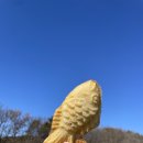 목상동 솔밭길 | January /2025
