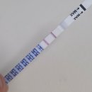 수정-16 | 임신 준비 기록 7 : 인공수정 1차 후기 (송파마리아/타임라인/과정/비용)