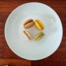 죽동할머니 이미지